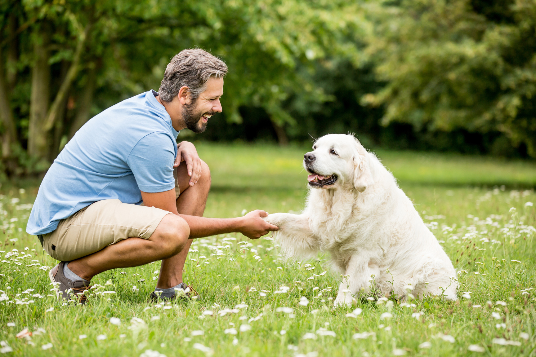 Man Training Dog 